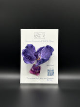 Flower Brooch SbS-601002