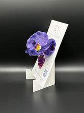 Flower Brooch SbS-601002