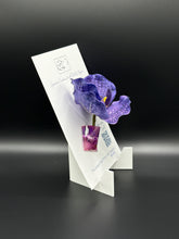 Flower Brooch SbS-601002