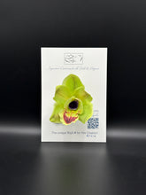 Flower Brooch SbS-601014