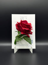 Flower Brooch SbS-601022