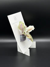 Flower Brooch SbS-601044