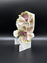 Flower Brooch SbS-601045